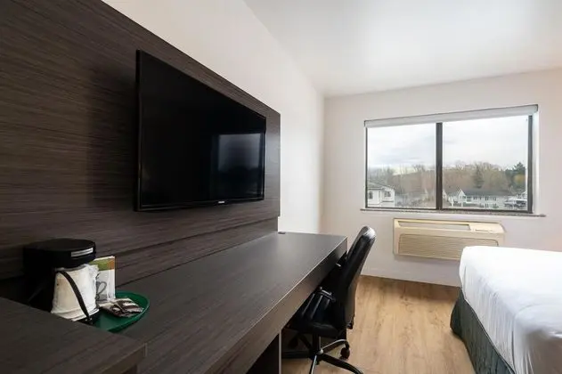 Deluxe Stüdyo Süit, 1 En Büyük (King) Boy Yatak, Sigara İçilmez