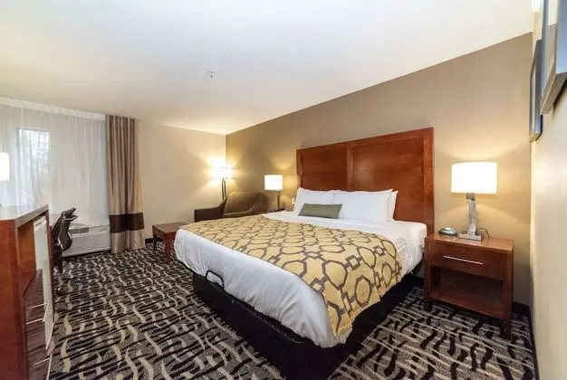 Deluxe Oda, 1 En Büyük (King) Boy Yatak, Sigara İçilmez