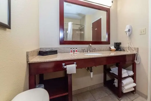 Deluxe Oda, 1 En Büyük (King) Boy Yatak, Sigara İçilmez