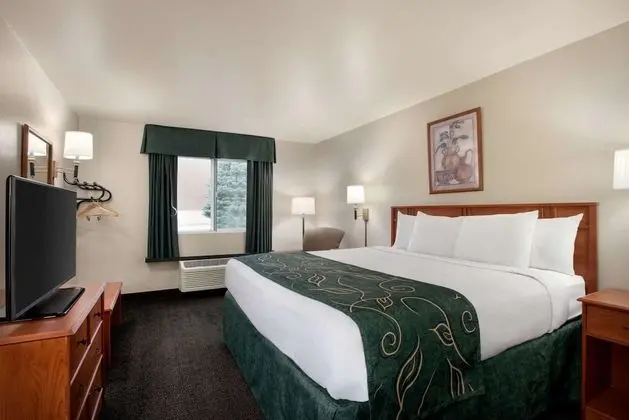 Deluxe Oda, 1 En Büyük (King) Boy Yatak, Engellilere Uygun, Sigara İçilmez (Mobility)