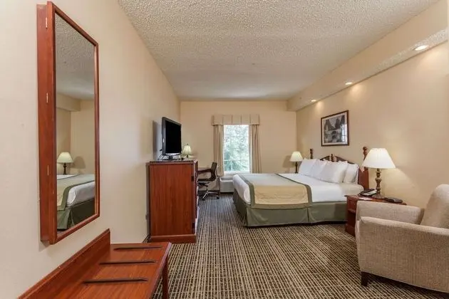 Süit, 1 En Büyük (King) Boy Yatak, Sigara İçilmez (1 Bedroom)