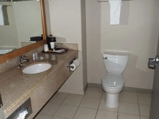 Oda, 2 Büyük (Queen) Boy Yatak, Engellilere Uygun, Sigara İçilmez (Tub with Grab Bars)