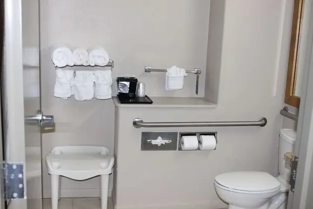 Oda, 2 Büyük (Queen) Boy Yatak, Engellilere Uygun, Sigara İçilmez (Tub with Grab Bars)