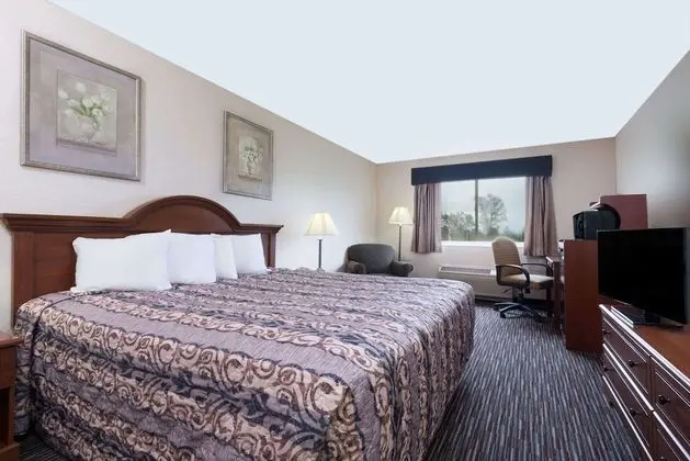 Deluxe Stüdyo Süit, 1 En Büyük (King) Boy Yatak, Havuz Manzaralı