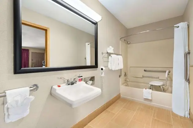 Oda, 1 En Büyük (King) Boy Yatak, Engellilere Uygun, Sigara İçilmez (Mobility, Bathtub w/Grab Bars)