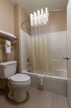 Efficiency, Oda, 1 En Büyük (King) Boy Yatak, Sigara İçilmez