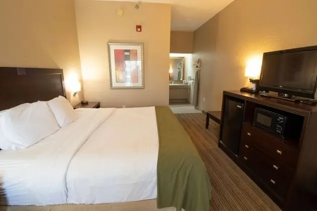 Stüdyo Süit, 1 En Büyük (King) Boy Yatak, Sigara İçilmez