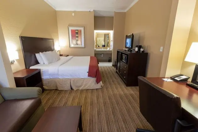 Stüdyo Süit, 1 En Büyük (King) Boy Yatak, Sigara İçilmez