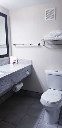 Stüdyo Süit, 1 En Büyük (King) Boy Yatak, Sigara İçilmez