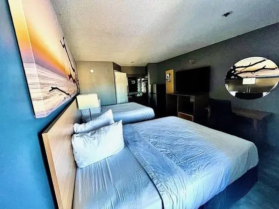 Oda, Engellilere Uygun