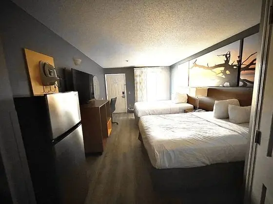 Standard Oda, 2 Çift Kişilik Yatak, Sigara İçilmez