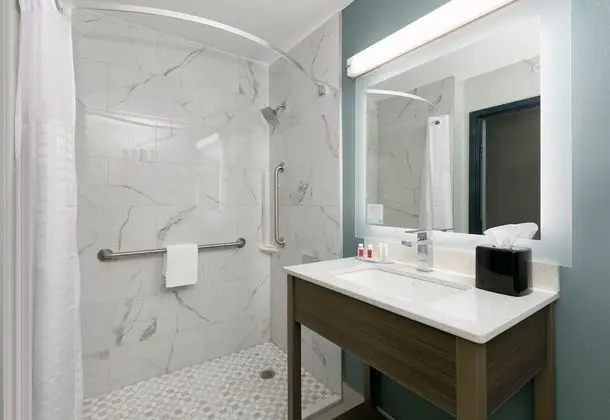 Oda, 1 En Büyük (King) Boy Yatak, Engellilere Uygun, Sigara İçilmez (Mobility, Roll-In Shower)