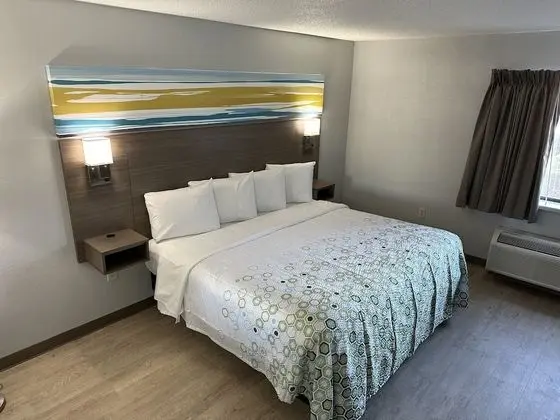 Stüdyo, 1 En Büyük (King) Boy Yatak, Engellilere Uygun, Sigara İçilmez (Roll-In Shower)