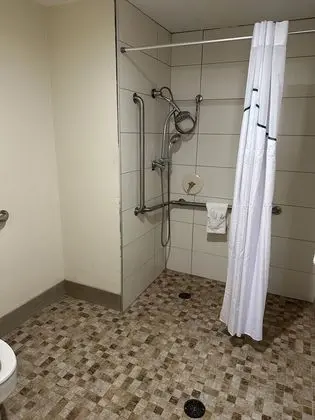 Stüdyo, 1 En Büyük (King) Boy Yatak, Engellilere Uygun, Sigara İçilmez (Roll-In Shower)