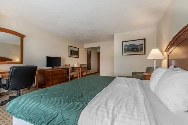 Oda, 1 En Büyük (King) Boy Yatak, Sigara İçilmez