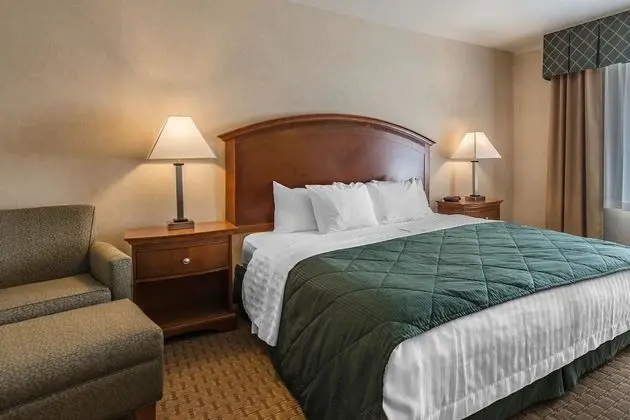 Oda, 1 En Büyük (King) Boy Yatak, Sigara İçilmez