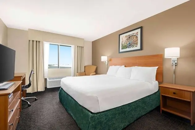 Oda, 1 Büyük (Queen) Boy Yatak, Engellilere Uygun, Sigara İçilmez