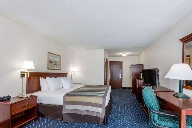 Süit, 1 En Büyük (King) Boy Yatak, Sigara İçilmez (One-Bedroom)