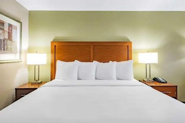 Deluxe Süit, 1 En Büyük (King) Boy Yatak, Sigara İçilmez (One-Bedroom)