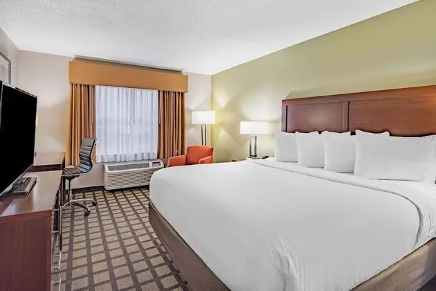 Deluxe Süit, 1 En Büyük (King) Boy Yatak, Sigara İçilmez (One-Bedroom)