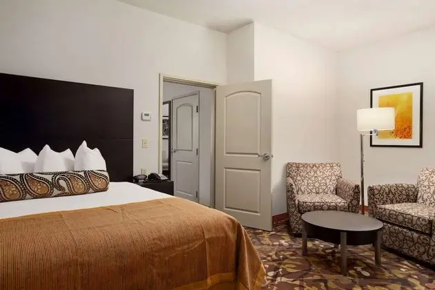Süit, 1 En Büyük (King) Boy Yatak, Sigara İçilmez (One-Bedroom)
