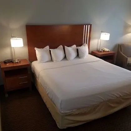 Standard Oda, 1 En Büyük (King) Boy Yatak, Sigara İçilmez, Buzdolabı ve Mikrodalga