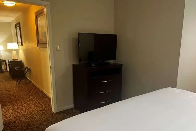 Süit, 1 Yatak Odası, Sigara İçilmez (1 King Bed)