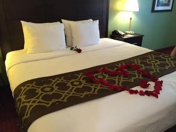 Oda, 1 En Büyük (King) Boy Yatak, Sigara İçilmez