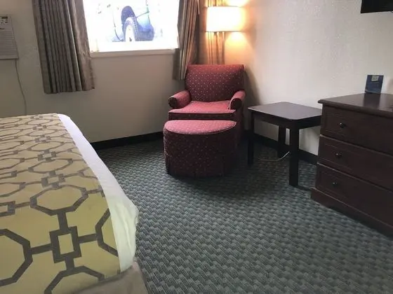 Oda, 1 En Büyük (King) Boy Yatak, Engellilere Uygun, Sigara İçilmez