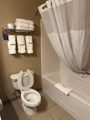 Deluxe Stüdyo Süit, 1 En Büyük (King) Boy Yatak, Sigara İçilmez