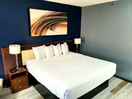 Oda, 1 En Büyük (King) Boy Yatak