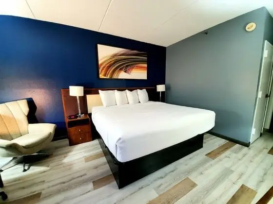 Oda, 1 En Büyük (King) Boy Yatak