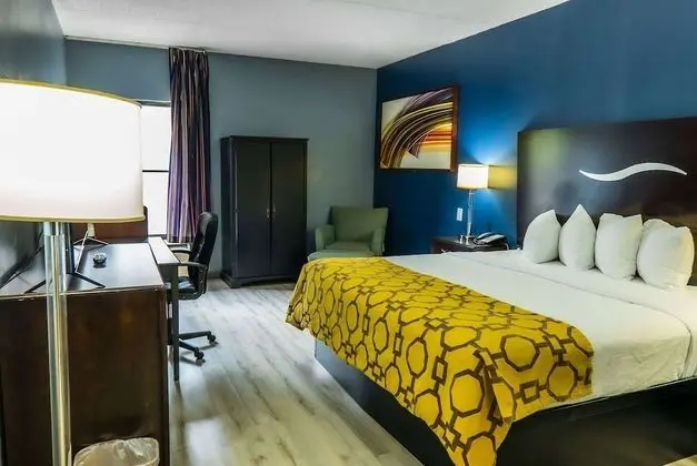 Oda, 1 En Büyük (King) Boy Yatak