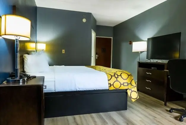 Oda, 1 En Büyük (King) Boy Yatak