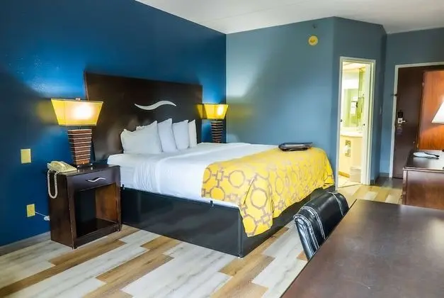 Oda, 1 En Büyük (King) Boy Yatak