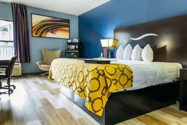 Oda, 1 En Büyük (King) Boy Yatak