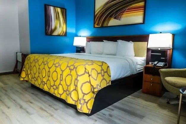 Oda, 1 En Büyük (King) Boy Yatak, Engellilere Uygun, Sigara İçilmez (Mobility Accessible)