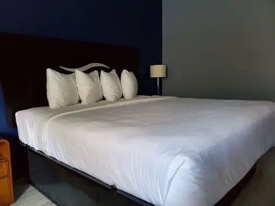 Oda, 1 En Büyük (King) Boy Yatak, Engellilere Uygun, Sigara İçilmez (Mobility Accessible)