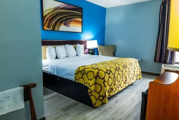 Oda, 1 En Büyük (King) Boy Yatak, Engellilere Uygun, Sigara İçilmez (Mobility Accessible)