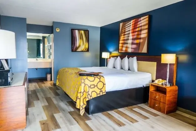 Oda, 1 En Büyük (King) Boy Yatak, Engellilere Uygun, Sigara İçilmez (Mobility Accessible)