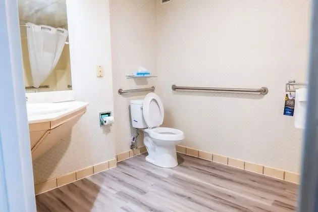 Oda, 1 En Büyük (King) Boy Yatak, Engellilere Uygun, Sigara İçilmez (Mobility Accessible)