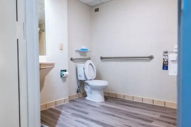 Oda, 1 En Büyük (King) Boy Yatak, Engellilere Uygun, Sigara İçilmez (Mobility Accessible)