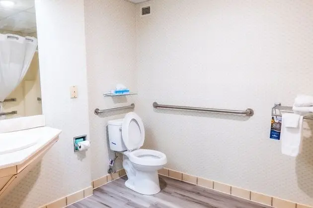 Oda, 1 En Büyük (King) Boy Yatak, Engellilere Uygun, Sigara İçilmez (Mobility Accessible)