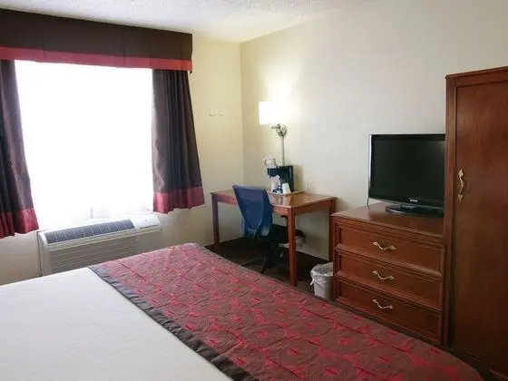 Deluxe Stüdyo Süit, 1 En Büyük (King) Boy Yatak, Sigara İçilmez