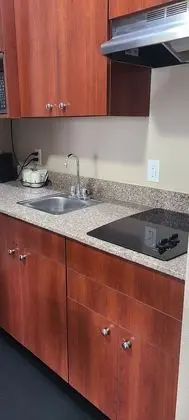 Deluxe Süit, 1 Yatak Odası, Sigara İçilmez (1 King Bed)