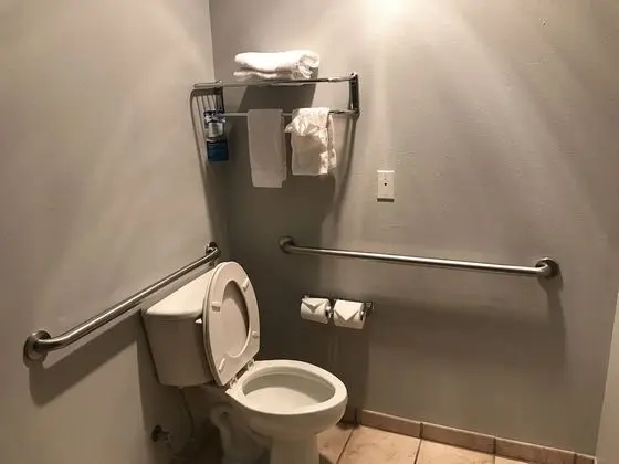 Deluxe Süit, 1 Yatak Odası, Sigara İçilmez (1 King Bed)