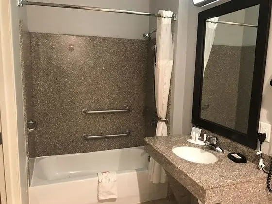 Deluxe Süit, 1 Yatak Odası, Sigara İçilmez (1 King Bed)