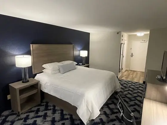 Oda, 1 En Büyük (King) Boy Yatak, Engellilere Uygun, Sigara İçilmez