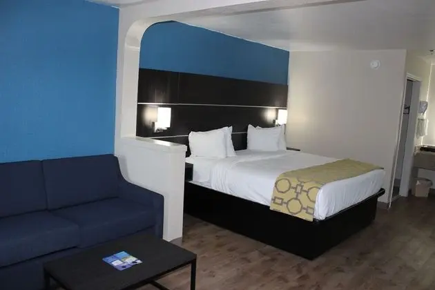 Stüdyo Süit, 1 En Büyük (King) Boy Yatak, Sigara İçilmez