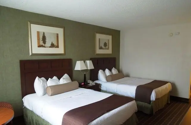 Oda, 2 Çift Kişilik Yatak, Engellilere Uygun, Sigara İçilmez (Mobility Accessible Room)